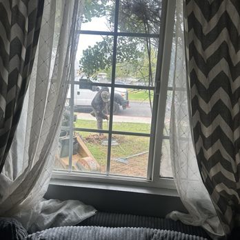 Affordable Tree Care - The beginning of the gigantic 22 foot Palm takedown - Tree Services Near Me Affordable Tree Care - The beginning of the gigantic 22 foot Palm takedown - Tree Services Near Me