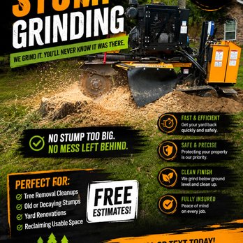 Alpine Tree Services - Tree Services Near Me Alpine Tree Services - Tree Services Near Me
