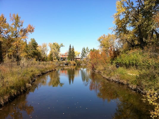 Inglewood Bird Sanctuary by null