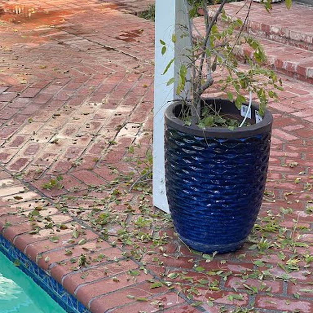 Pool Service by Jason - The Guilty Wisteria - Pool Cleaners Near Me Pool Service by Jason - The Guilty Wisteria - Pool Cleaners Near Me