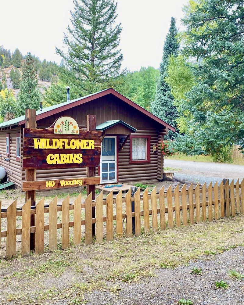 WILDFLOWER CABINS 413 S Gunnison Ave, Lake City, Colorado Vacation