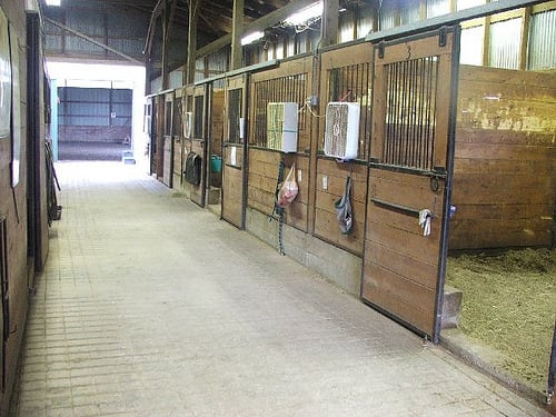 Dixieland Farm - equestrian in Mocksville, NC