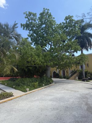 Hacienda Xcanatun, Angsana Heritage Collection by null