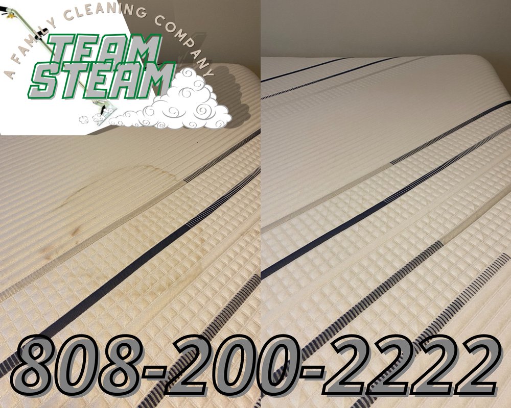 AMERICA’S BEST CARPET CLEANERS Updated August 2024 61 Photos 95