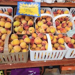 PEACHES