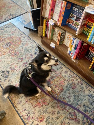 Loyalty Bookstore by null