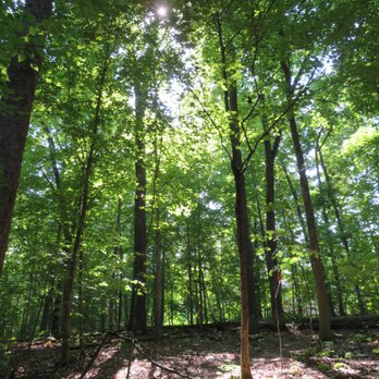 Rotary Park - Hiking Near Me - Clarksville, Tennessee