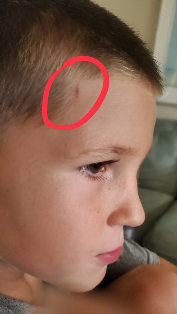 PLATINUM CUTZ BARBER SHOP 13 Photos 6473 W Newberry Rd, Gainesville