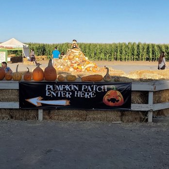 Davis Ranch, LLC - Entrance to pumpkin patch - Fruits & Veggies Near Me - Sloughhouse, California Davis Ranch, LLC - Entrance to pumpkin patch - Fruits & Veggies Near Me - Sloughhouse, California