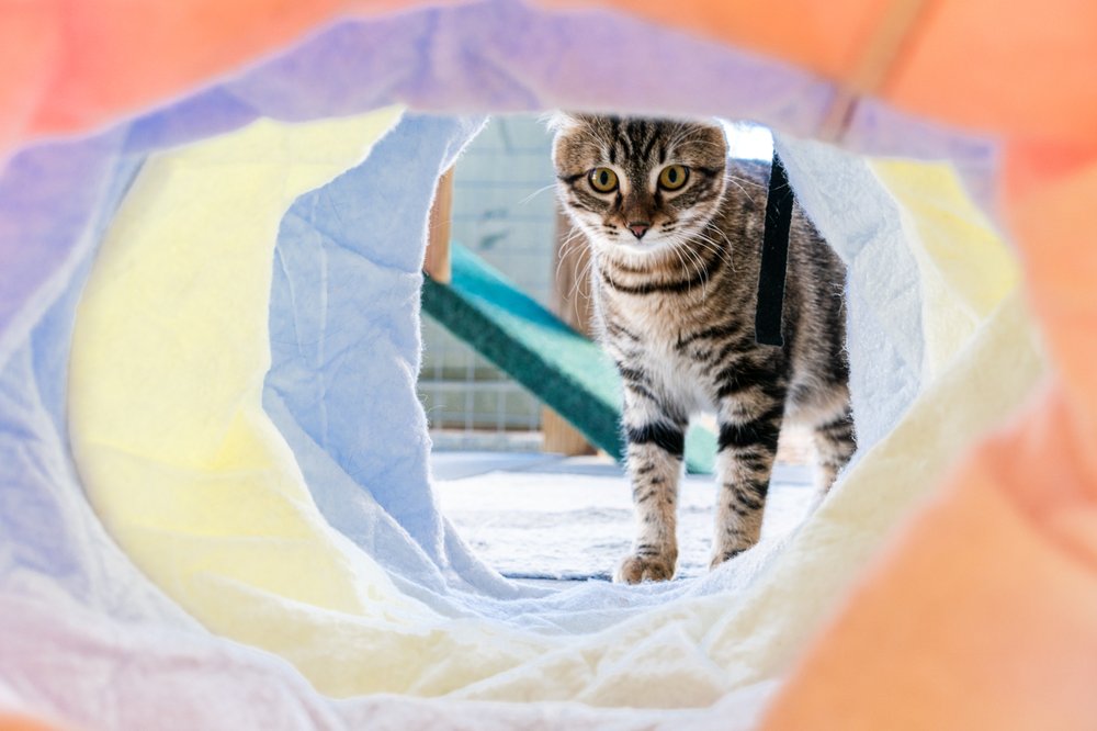 WINDING CREEK KENNELS Updated September 2024 10 Photos & 18 Reviews