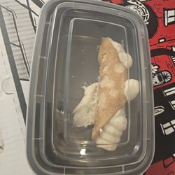 Prespa's Italian Restaurant - Cannoli