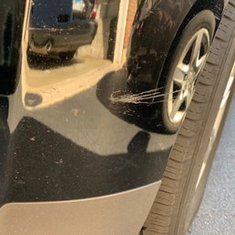 Dead bugs post car wash Dead bugs post car wash