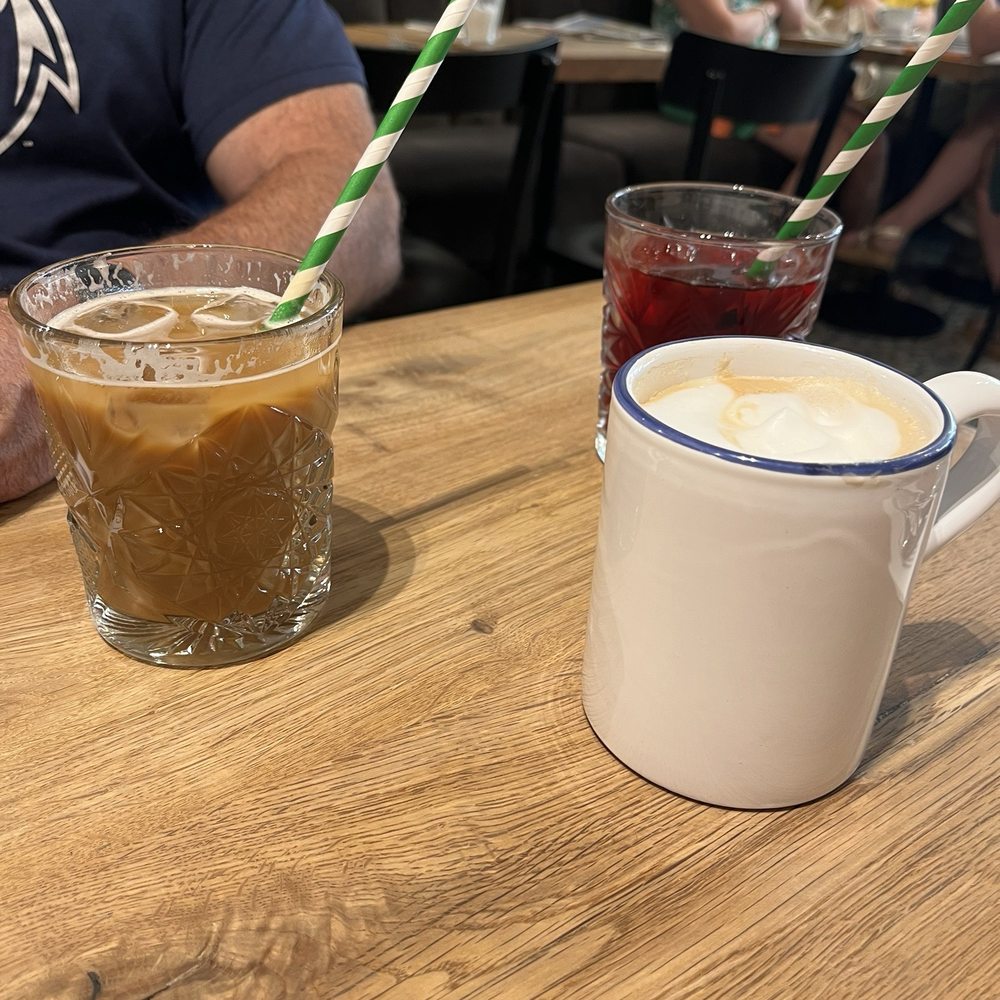 Sanseveria - Fresh iced and hot coffee and iced tea - Bagels Near Me - Bruges, VWV Sanseveria - Fresh iced and hot coffee and iced tea - Bagels Near Me - Bruges, VWV