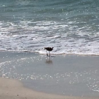 Sand Key Park - Beaches Near Me - Clearwater Beach, Florida