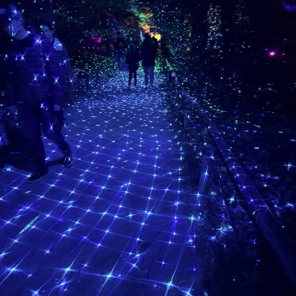 Maymont - Lights - Parks Near Me - Richmond, Virginia Maymont - Lights - Parks Near Me - Richmond, Virginia