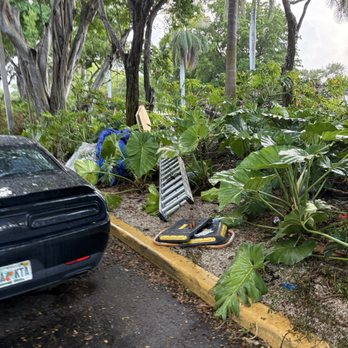 Southern Coast Enterprises - Let's just trash the place and leave there when we're done. - Roofing Near Me - Deerfield Beach, Florida Southern Coast Enterprises - Let's just trash the place and leave there when we're done. - Roofing Near Me - Deerfield Beach, Florida