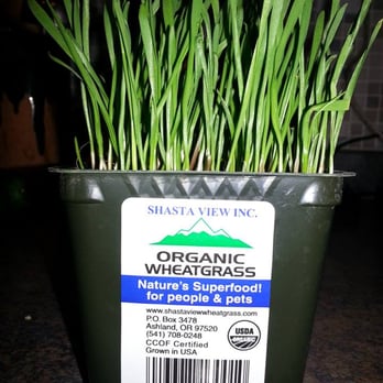 Vons - Organic wheat grass - Grocery Near Me - Las Vegas, Nevada