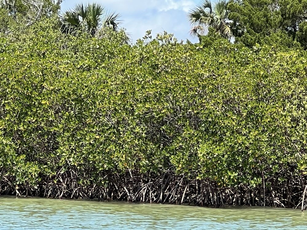 Social spots from Ponce Inlet Watersports