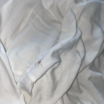 Marriott Phoenix Chandler - Bed sheet with hair that did not belong to me - Hotels Near Me - Chandler, Arizona