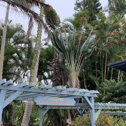 Kona Sunset Coffee