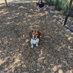 Creighton Park