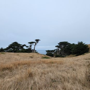 Point Reyes National Seashore - Parks Near Me - Point Reyes Station, California Point Reyes National Seashore - Parks Near Me - Point Reyes Station, California