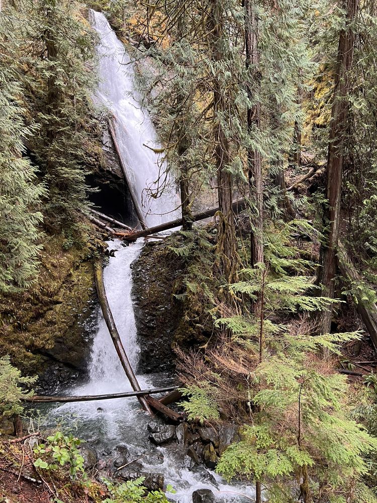 Murhut Falls Logo