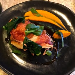 The Black Rat - Guinea fowl