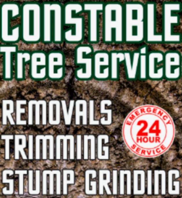 Constable Tree Service - tree service in Mechanicville, NY