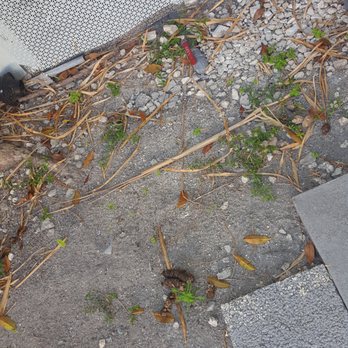Urban Resource - dog poop outside for weeks after several complaints - Real Estate Services Near Me - Miami Beach, Florida