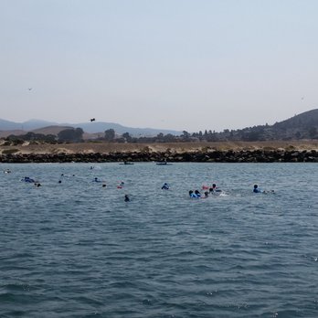 Sub Sea Tours - "School of Junior Lifeguards" swimming in The Bay as The Dos Osos returns to port. - Rafting/Kayaking Near Me - Morro Bay, California Sub Sea Tours - "School of Junior Lifeguards" swimming in The Bay as The Dos Osos returns to port. - Rafting/Kayaking Near Me - Morro Bay, California