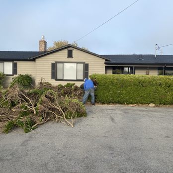 Jay Welty Landscaping - This is the hedge that was replaced by the fence. - Landscaping Near Me