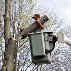 The RainCo - Tree Trimming and Removal