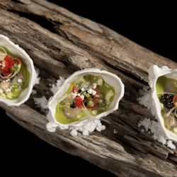 Jia - Oysters