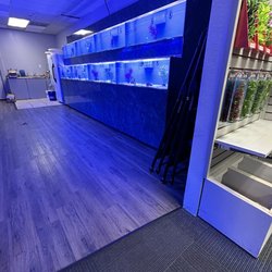Ultimate Aquarium