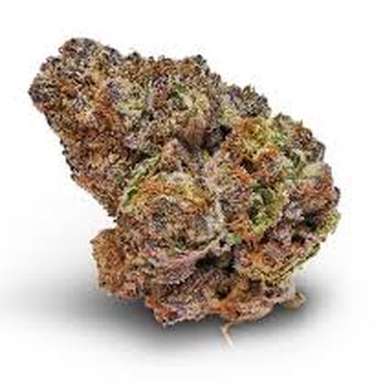 Strain Theory - Wagyu Smokable Hemp Flower - Vape Shops Near Me - Lake Wales, Florida Strain Theory - Wagyu Smokable Hemp Flower - Vape Shops Near Me - Lake Wales, Florida