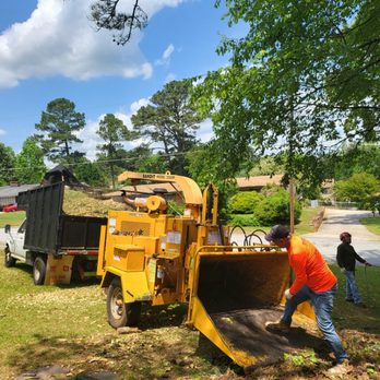Martreenez - We are ready to work - Tree Services Near Me