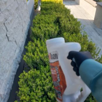 HomeShield Pest Control - Pest Control Near Me HomeShield Pest Control - Pest Control Near Me