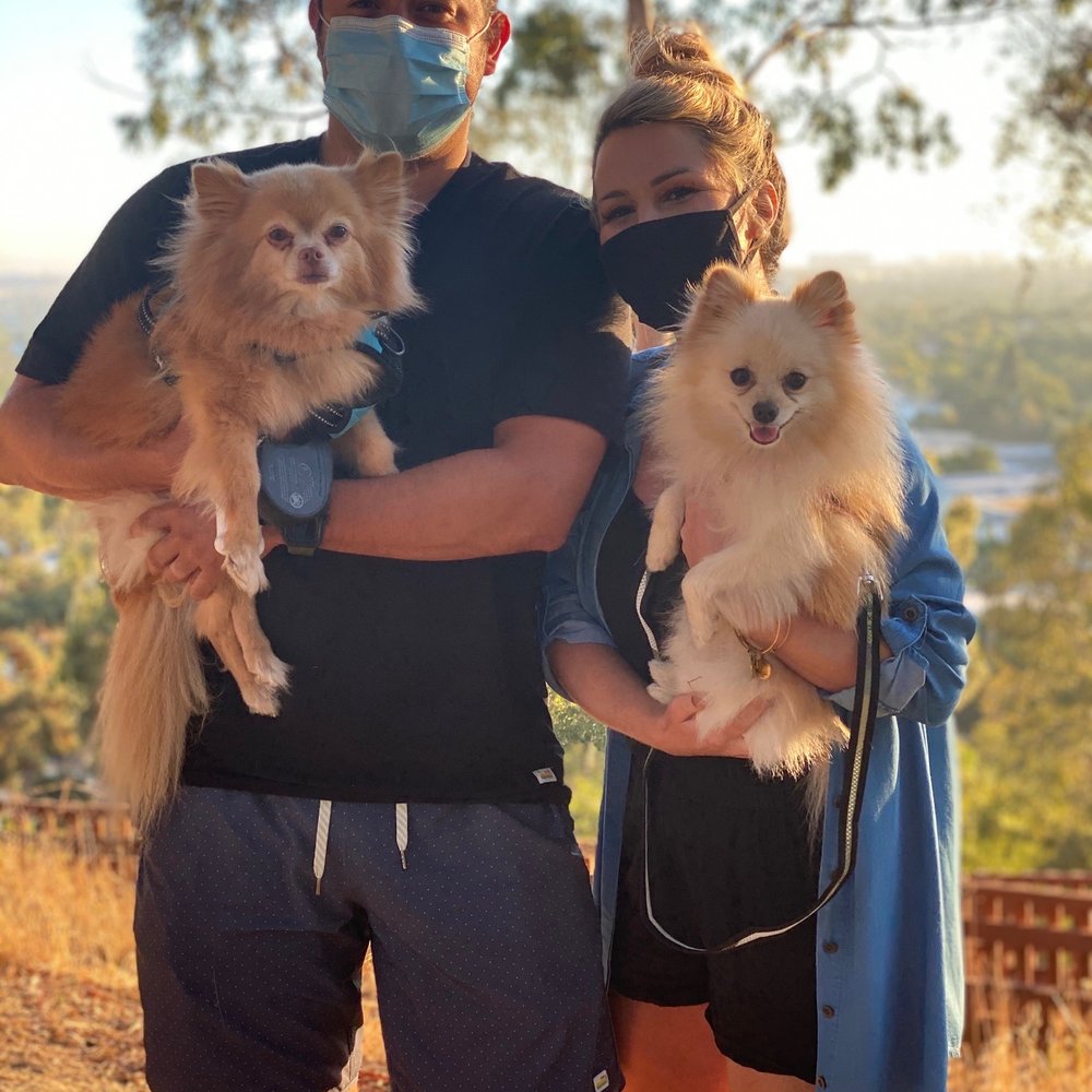 OC Pom Rescue - Community Service/Non-Profit Near Me - Huntington Beach, California OC Pom Rescue - Community Service/Non-Profit Near Me - Huntington Beach, California