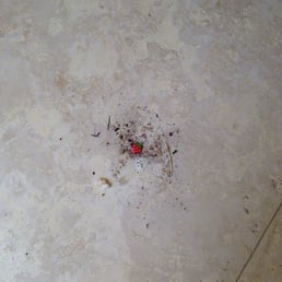 Pile of dust in the kitchen.