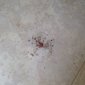 Maid in the USA Cleaning Services - Pile of dust in the kitchen. - Home Cleaning Near Me - Riverside, California