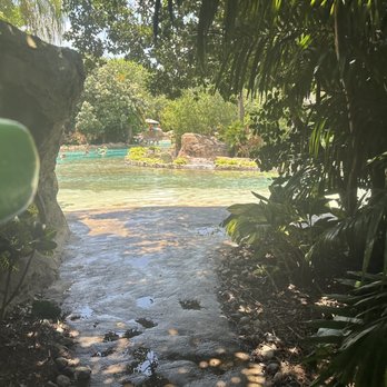 Discovery Cove - Amusement Parks Near Me - Orlando, Florida