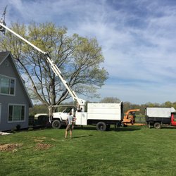 Top Knotch Tree Service