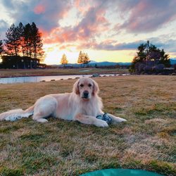 Veterinary Referral Center of Central Oregon - sweet baby