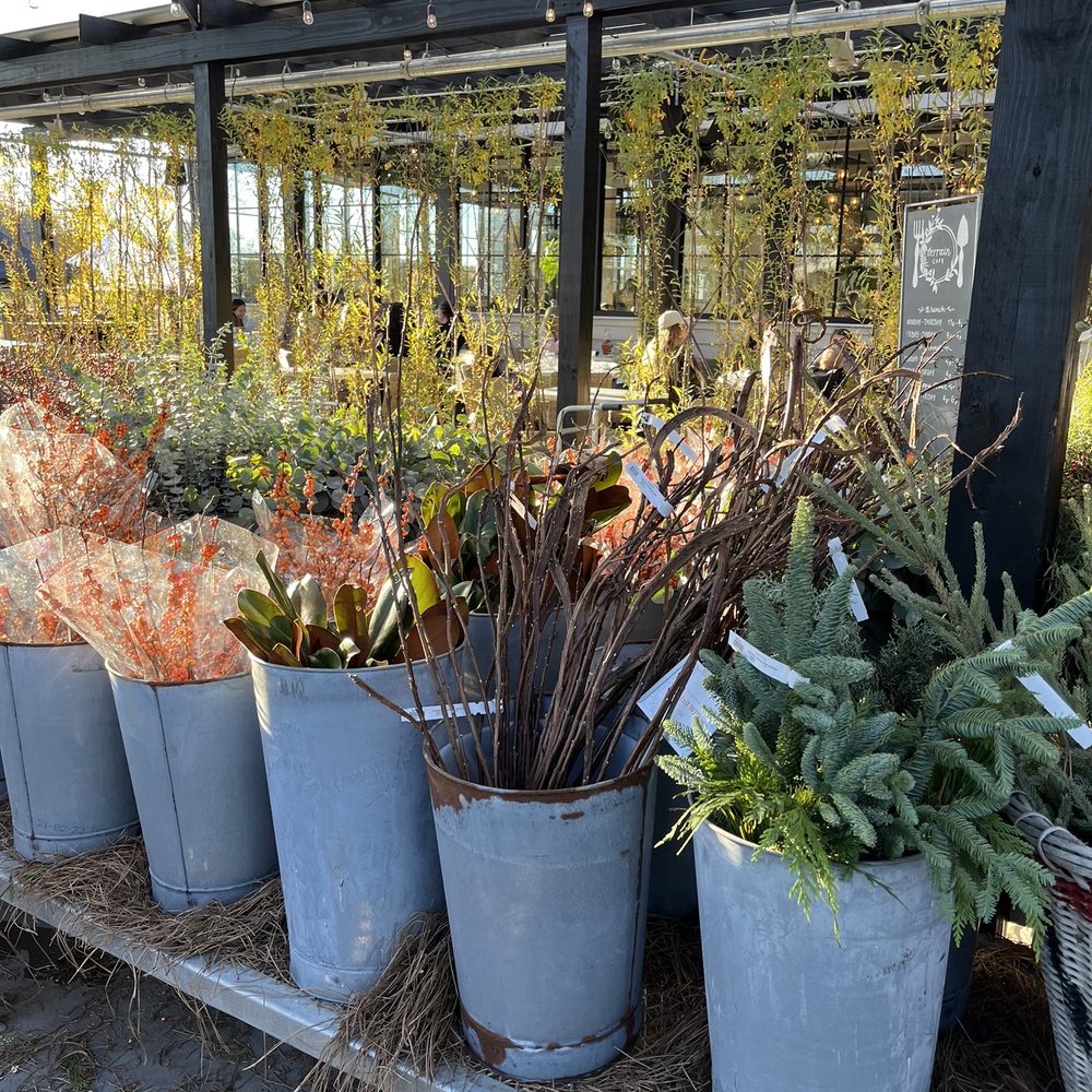 Terrain At Delaware University - Nurseries & Gardening Near Me - Doylestown, Pennsylvania Terrain At Delaware University - Nurseries & Gardening Near Me - Doylestown, Pennsylvania