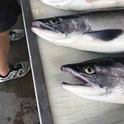 Sport Fish Colorado - Close up