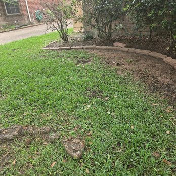 Living Trees & Shrubs - Root Block applied - Landscaping Near Me - Katy, Texas