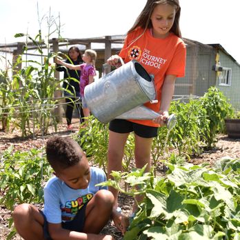 The Journey School - TJS has an organic garden that is tended by students - Montessori Schools Near Me - Spencerville, Maryland The Journey School - TJS has an organic garden that is tended by students - Montessori Schools Near Me - Spencerville, Maryland