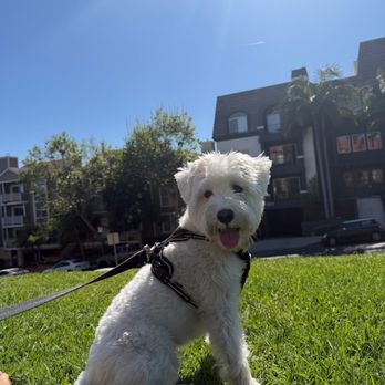 CANIS - Behavior and Training - Pet Training Near Me - Tarzana, California CANIS - Behavior and Training - Pet Training Near Me - Tarzana, California