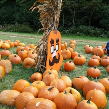 Burger Farm & Garden Center - Pumpkin Patch - Nurseries & Gardening Near Me - Cincinnati, Ohio